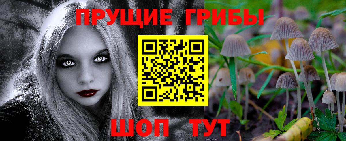 Галлюциногенные грибы мицелий Егорьевск