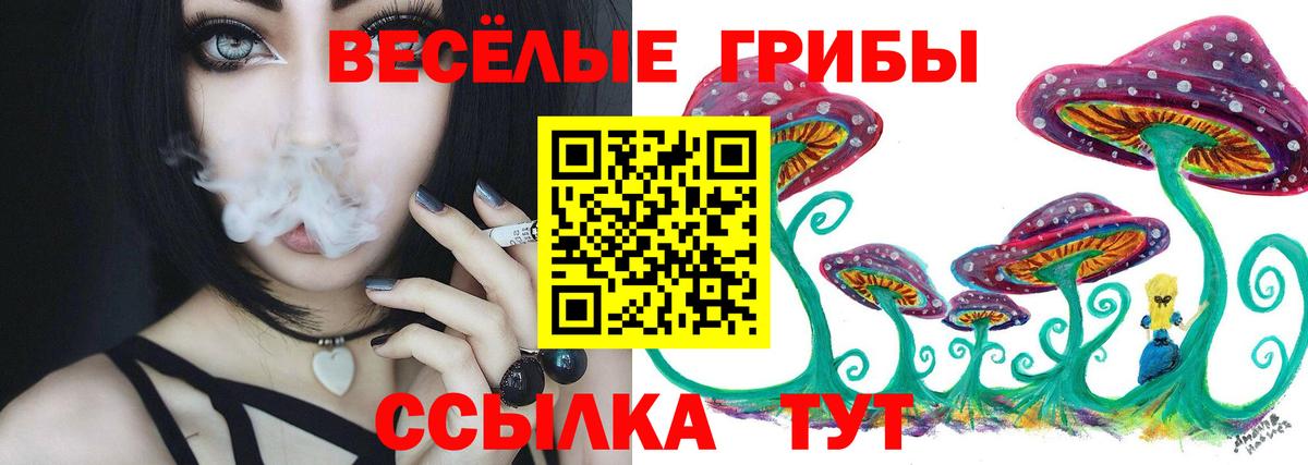 Псилоцибиновые грибы Psilocybine cubensis  Вход с VPN  закладки  Егорьевск 